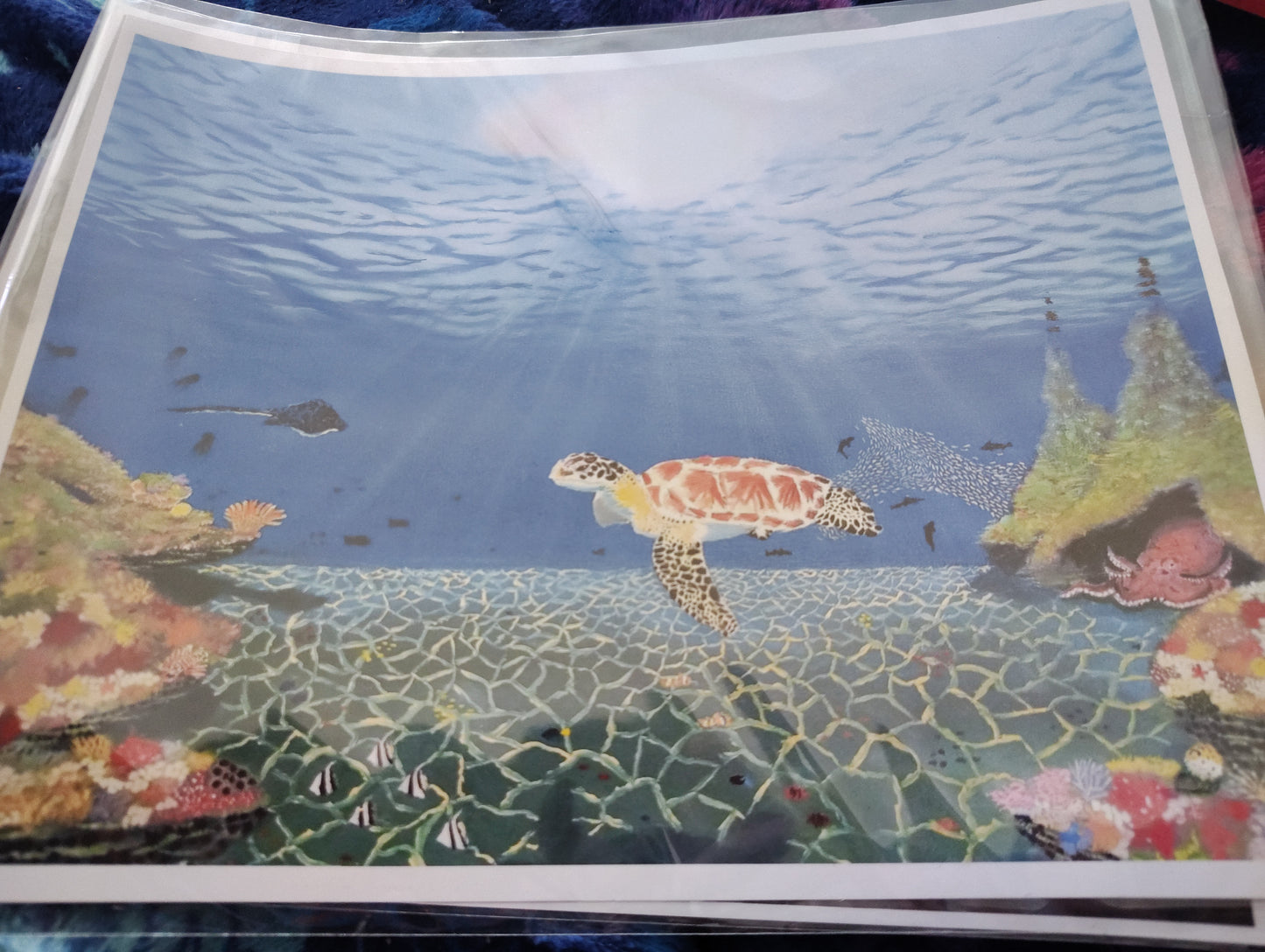"Oceans Opus" Art Print